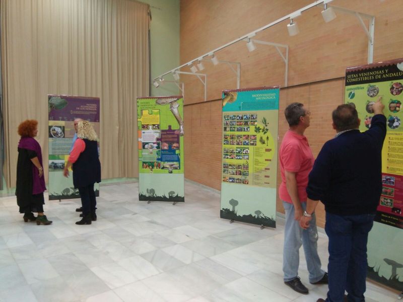Exposición en Aljaraque