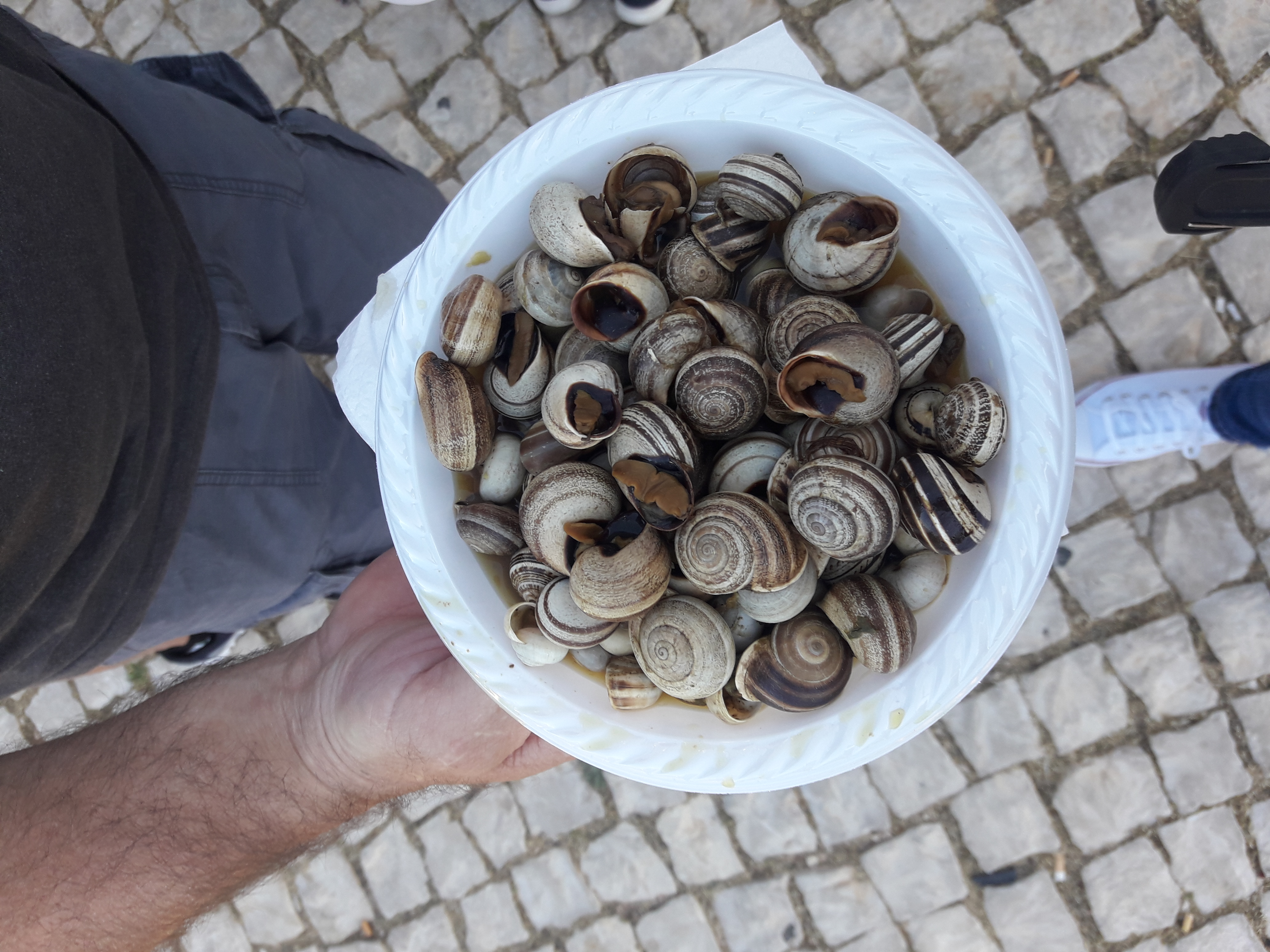 feria caracoles Portugal