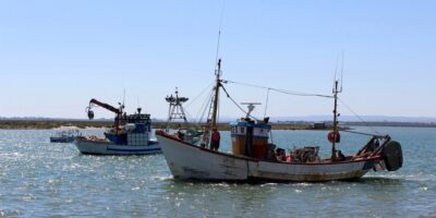 El sector de la chirla onubense acudirá al Congreso por las restricciones en los caladeros y su situación de desventaja