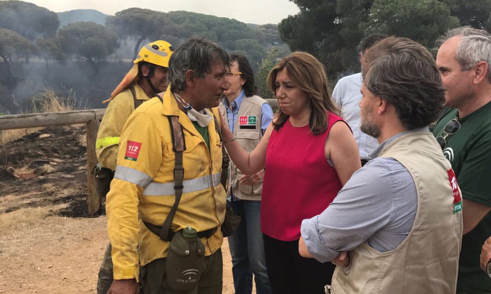 La Junta no solicitó la declaración de Zona Catastrófica tras el incendio de Doñana