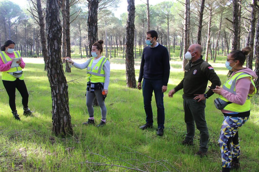 El Ayuntamiento de Cartaya pone en marcha labores de control y señalización del pinar