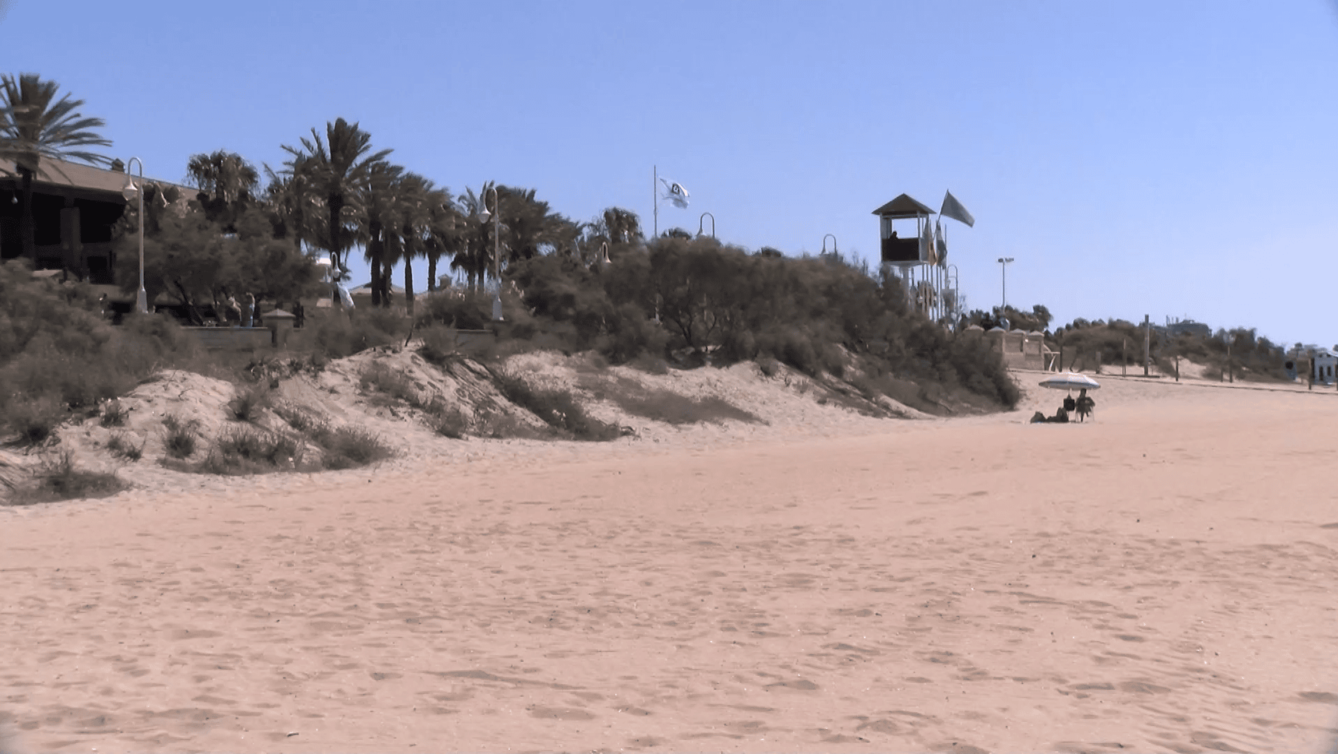 Voluntarios colaborarán en la conservación del sistema dunar de Islantilla