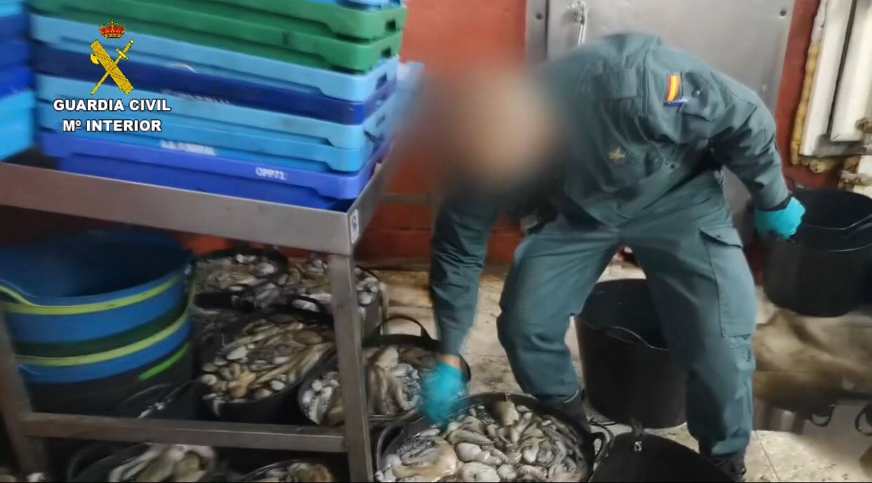 La Guardia Civil interviene gran cantidad de pulpo en una nave clandestina en Isla Cristina