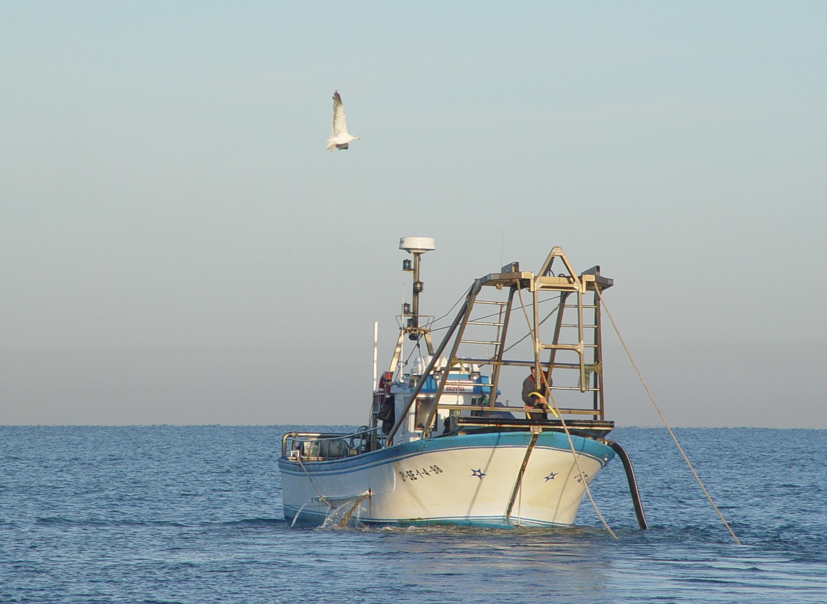La vedas de pesca se aplican también a los barcos portugueses desde este mes de enero