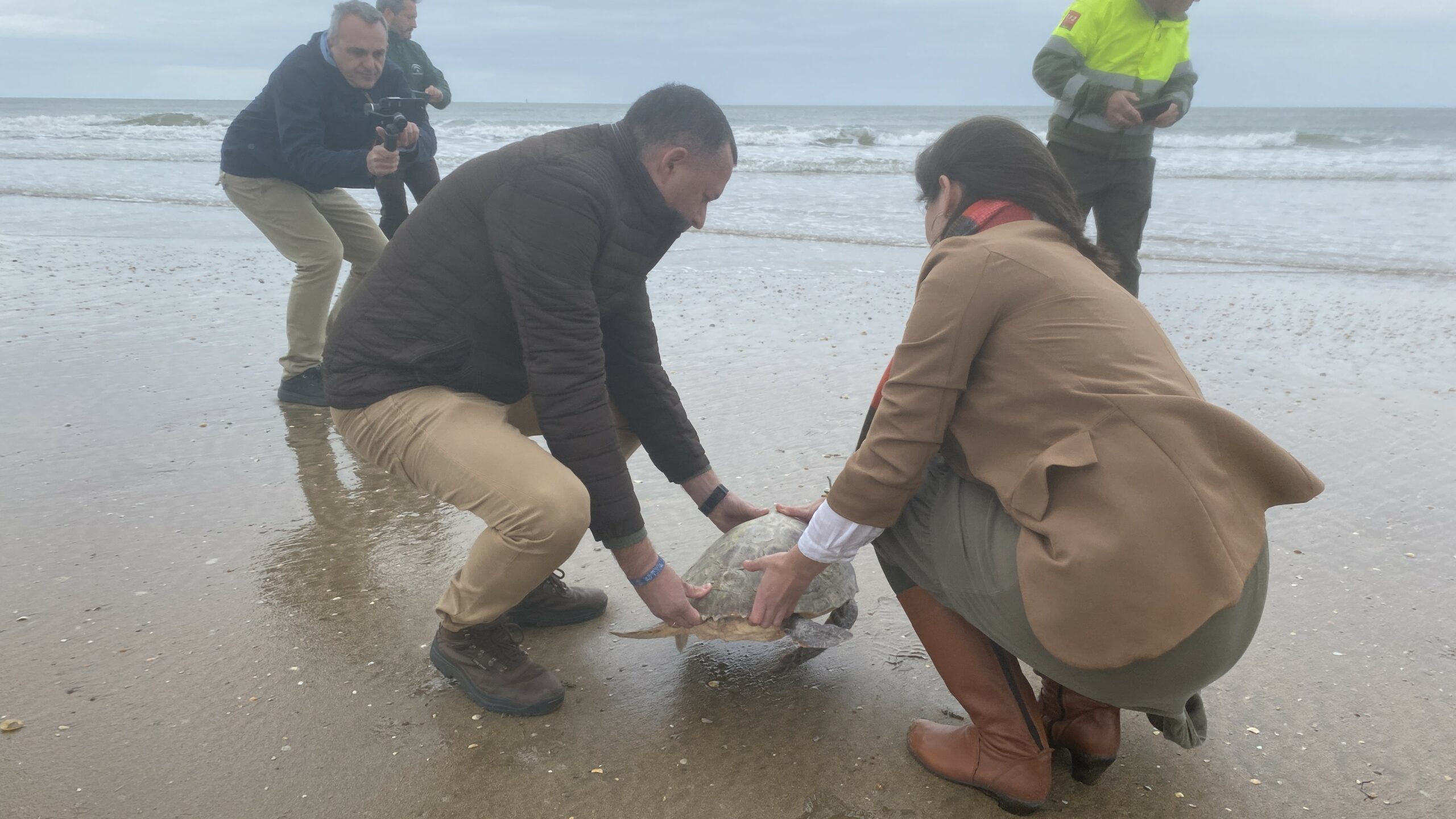 La Junta libera tortugas marinas rescatadas por pescadores de Punta Umbría e Isla Cristina