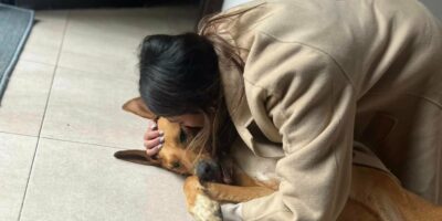 Martín, el viral perro desaparecido, vuelve a casa