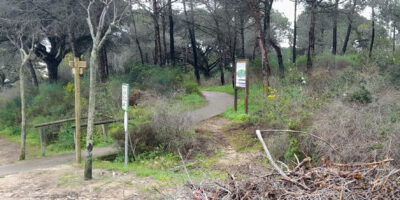 La Mancomunidad lleva a cabo un tratamiento para prevenir el riesgo de incendio en los parques de Islantilla