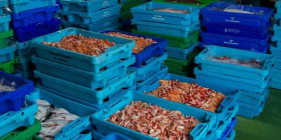 La lonja de Isla Cristina lidera las comercializaciones de productos pesqueros frescos en Andalucía
