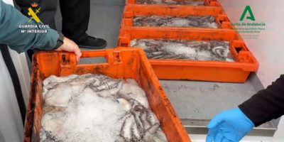 Incautados más de 3.000 kilos de pulpo y 200 kilos de almejas en Huelva por incumplir normativa pesquera