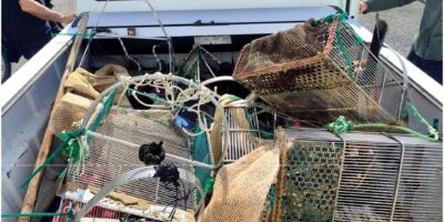 La Junta levanta 17 actas por marisqueo ilegal de la coquina entre Lepe e Isla Cristina